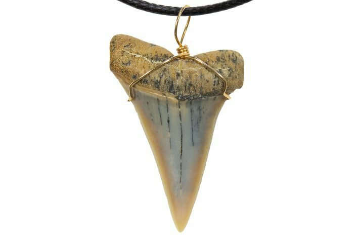 Fossil Mako Shark Tooth Necklace - Bakersfield, California #318837